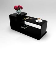 Modern Coffee Table