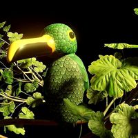 Mexican Green Toucan