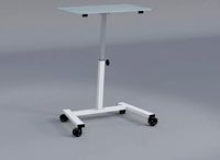 Computer Mobile Standing Desk