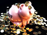 Pig Bank and coin