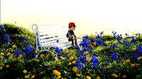 flower scttered scene