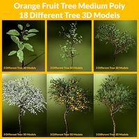 Orange fruit tree Low Poly 18 Different Tree 3D Models