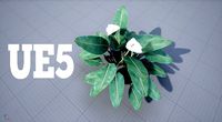 Calla Lily Zantedeschia Copo Leite Flower PBR Lowpoly