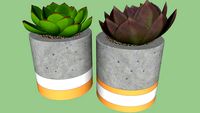 Cachepot de concreto com suculentas
