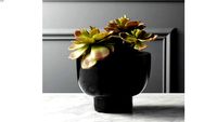Cachepot com suculenta