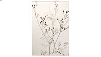 Tableau aquarelle Monika strigel