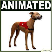 Greyhound Dog CG 3D Model