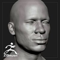 Average Black Male Head Basemesh