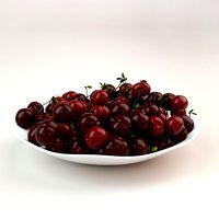 Cherry 3D Model