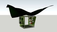 green colibri