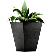 plants collection 60