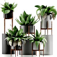 plants collection 30