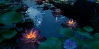 lotus