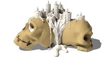 skull candle