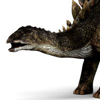 stegosaurus dinosaur