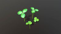 clovers