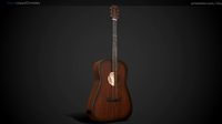 acoustic guitar