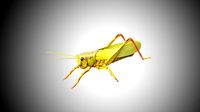 grasshopper low poly rigged