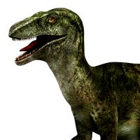 velociraptor dinosaur
