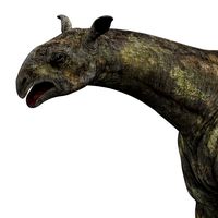 paraceratherium dinosaur