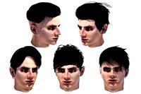 3D Hair style for boy V38 3D Model $15 - .3ds .dae .fbx .ma .max .obj  .unknown - Free3D