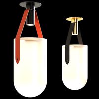 flush well lamp