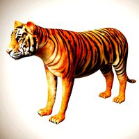 3d realistic low poly rigged high detailed bengal tiger model