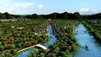 ancient city