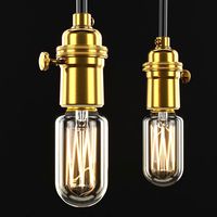 edison classic radio bulb with soket