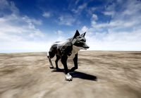 wolf