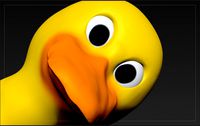 duck