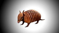 realistic armadillo low poly rigged