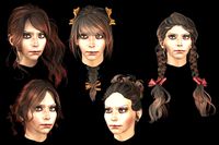 set woman hairstyle 5 types
