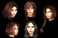 set woman hairstyle 5 types