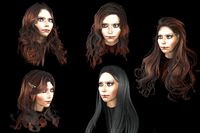set woman hairstyle 5 types