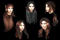 set woman hairstyle 5 types