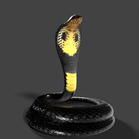 king cobra snake low poly