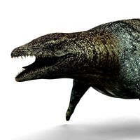 mosasaurus dinosaur