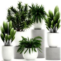plants in a white pot for the interior 680