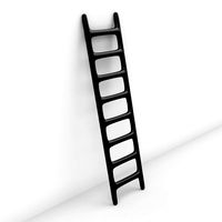 carbon fiber ladder