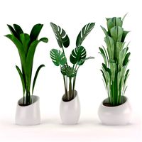 plants collection 03