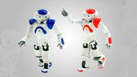 robot nao