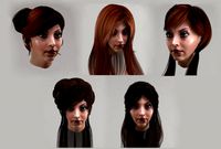 set woman hairstyle 5 types