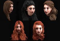 set woman hairstyle 5 types
