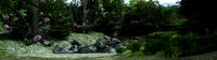 mountain forest