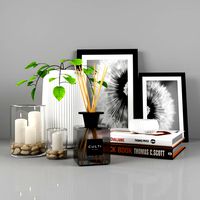 decorative set 01 with plant