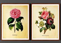 collection of 2 paintings