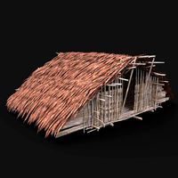 aaa tribal jungle primal hut house reed tree survival rainforest