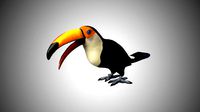 rigged low poly toucan keel billed