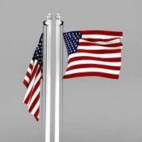 flag of united states of america